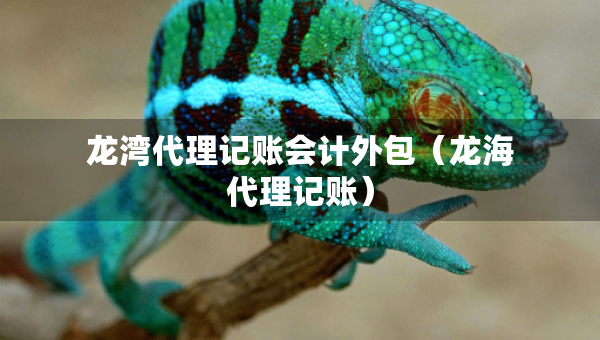 龍灣代理記賬會計(jì)外包（龍海代理記賬）