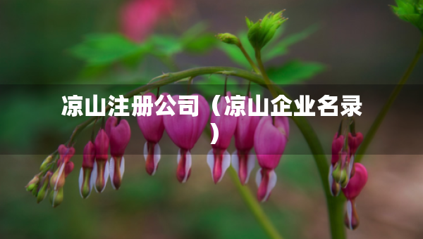涼山注冊公司（涼山企業(yè)名錄）