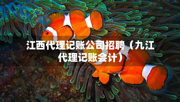 江西代理記賬公司招聘（九江代理記賬會(huì)計(jì)）