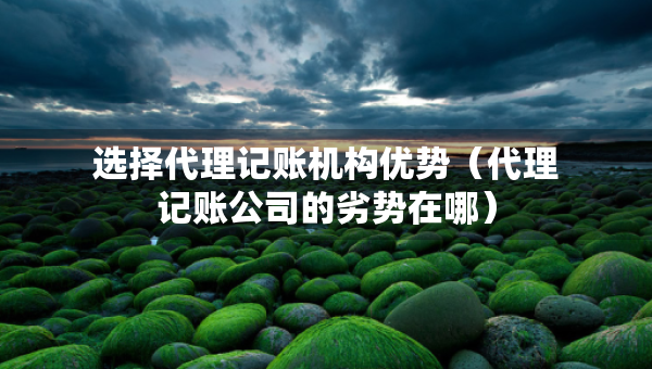 選擇代理記賬機構(gòu)優(yōu)勢（代理記賬公司的劣勢在哪）