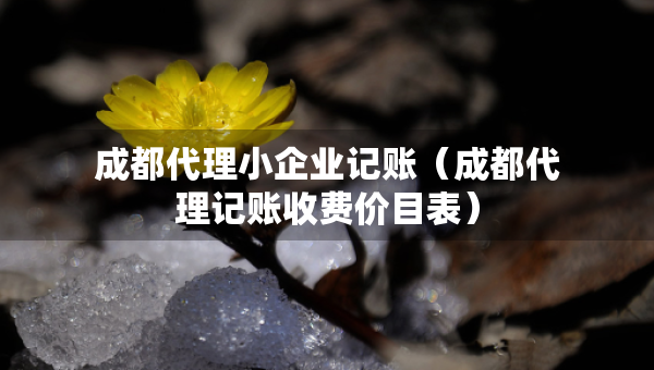 成都代理小企業(yè)記賬（成都代理記賬收費(fèi)價目表）
