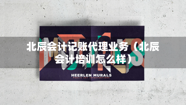 北辰會(huì)計(jì)記賬代理業(yè)務(wù)（北辰會(huì)計(jì)培訓(xùn)怎么樣）