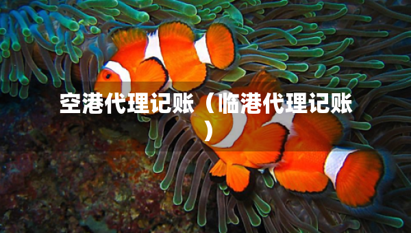 空港代理記賬（臨港代理記賬）
