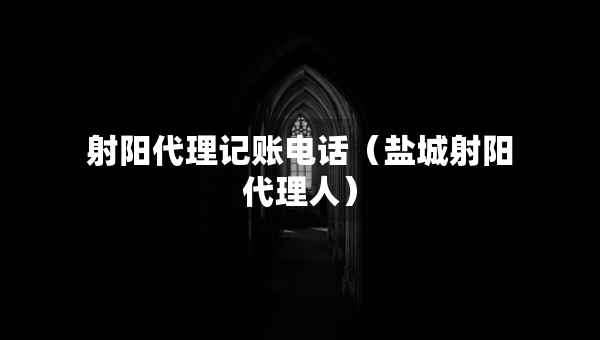 射陽代理記賬電話（鹽城射陽代理人）
