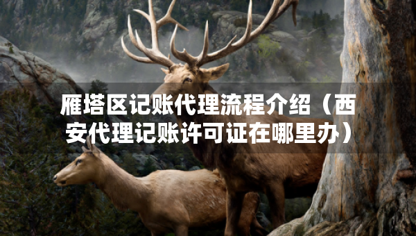 雁塔區(qū)記賬代理流程介紹（西安代理記賬許可證在哪里辦）