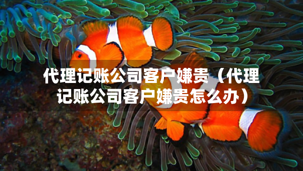 代理記賬公司客戶嫌貴（代理記賬公司客戶嫌貴怎么辦）