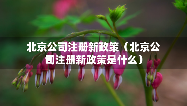 北京公司注冊(cè)新政策（北京公司注冊(cè)新政策是什么）