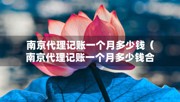 南京代理記賬一個(gè)月多少錢（南京代理記賬一個(gè)月多少錢合適）