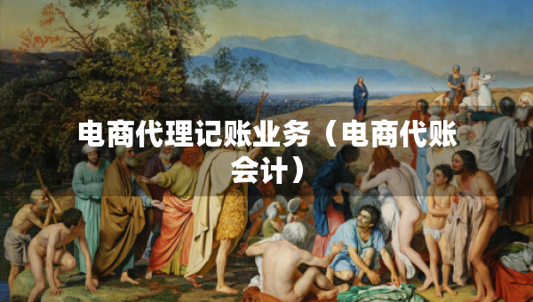 電商代理記賬業(yè)務（電商代賬會計）