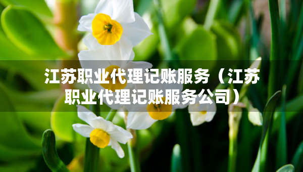 江蘇職業(yè)代理記賬服務(wù)（江蘇職業(yè)代理記賬服務(wù)公司）