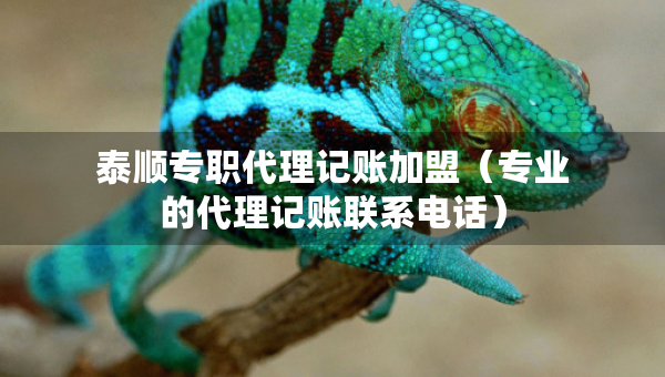 泰順專職代理記賬加盟（專業(yè)的代理記賬聯(lián)系電話）