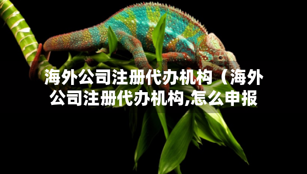 海外公司注冊代辦機構(gòu)（海外公司注冊代辦機構(gòu),怎么申報）