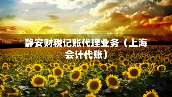 靜安財稅記賬代理業(yè)務（上海會計代賬）