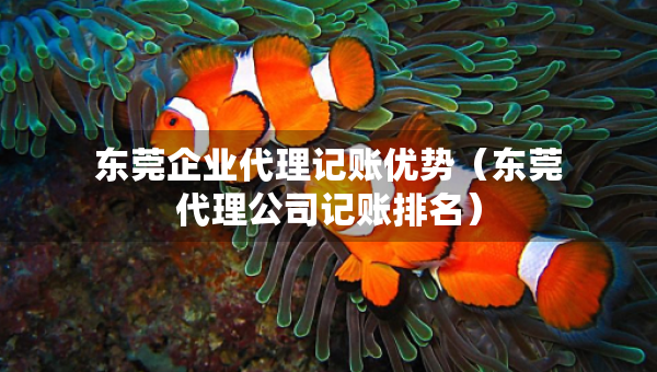 東莞企業(yè)代理記賬優(yōu)勢（東莞代理公司記賬排名）