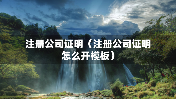 注冊(cè)公司證明（注冊(cè)公司證明怎么開(kāi)模板）