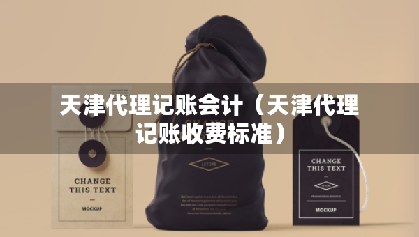 天津代理記賬會計（天津代理記賬收費(fèi)標(biāo)準(zhǔn)）