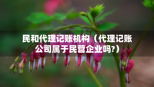 民和代理記賬機(jī)構(gòu)（代理記賬公司屬于民營企業(yè)嗎?）