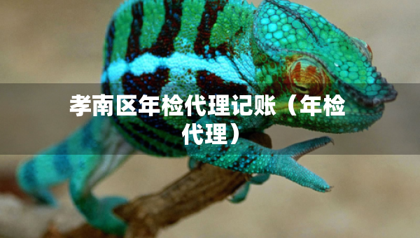 孝南區(qū)年檢代理記賬（年檢 代理）