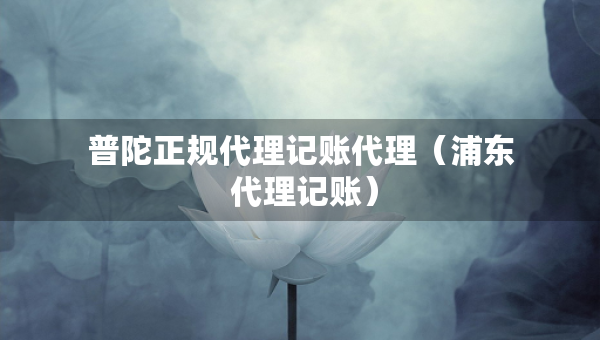 普陀正規(guī)代理記賬代理（浦東 代理記賬）