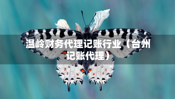 溫嶺財(cái)務(wù)代理記賬行業(yè)（臺(tái)州記賬代理）