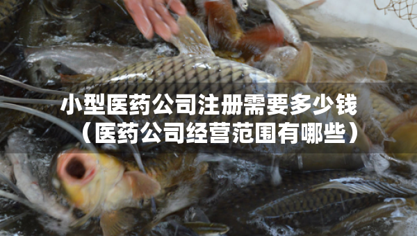 小型醫(yī)藥公司注冊(cè)需要多少錢(qián)（醫(yī)藥公司經(jīng)營(yíng)范圍有哪些）