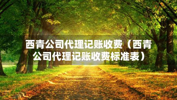 西青公司代理記賬收費（西青公司代理記賬收費標準表）