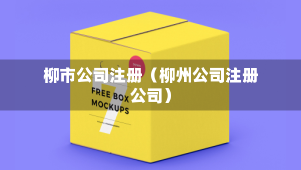柳市公司注冊(cè)（柳州公司注冊(cè)公司）