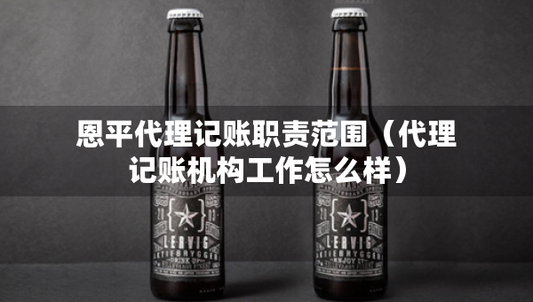 恩平代理記賬職責(zé)范圍（代理記賬機(jī)構(gòu)工作怎么樣）