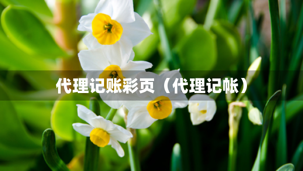 代理記賬彩頁（代理記帳）