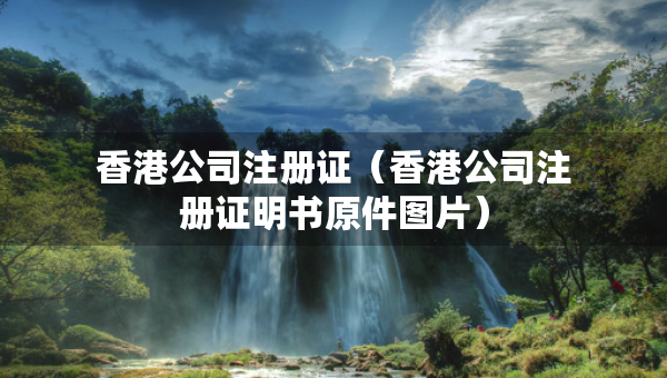 香港公司注冊證（香港公司注冊證明書原件圖片）