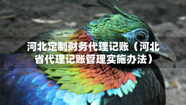河北定制財務(wù)代理記賬（河北省代理記賬管理實施辦法）