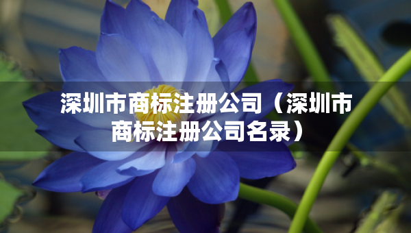 深圳市商標注冊公司（深圳市商標注冊公司名錄）