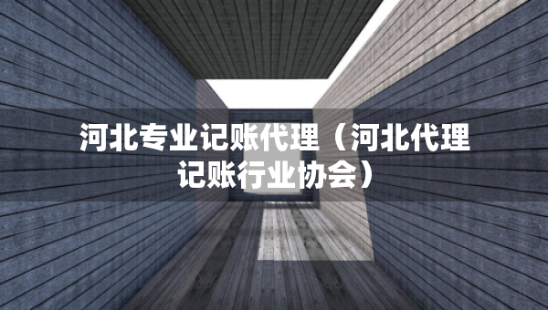 河北專業(yè)記賬代理（河北代理記賬行業(yè)協(xié)會）