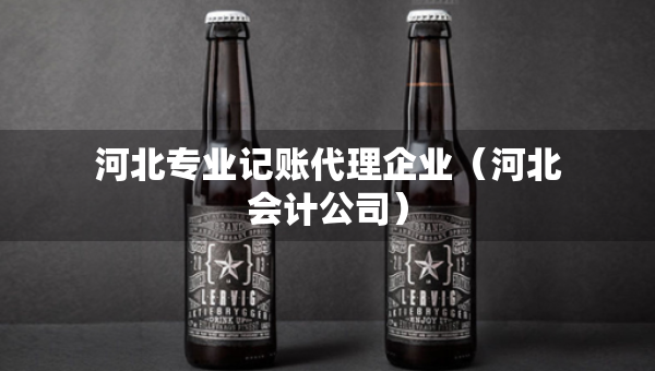 河北專業(yè)記賬代理企業(yè)（河北會計公司）