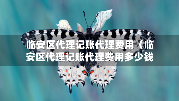 臨安區(qū)代理記賬代理費(fèi)用（臨安區(qū)代理記賬代理費(fèi)用多少錢）