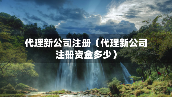 代理新公司注冊(cè)（代理新公司注冊(cè)資金多少）