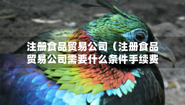 注冊食品貿(mào)易公司（注冊食品貿(mào)易公司需要什么條件手續(xù)費）