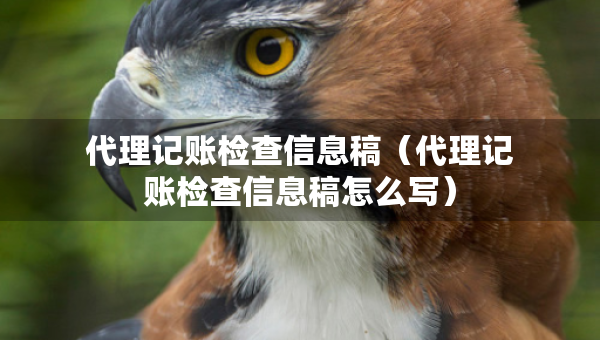 代理記賬檢查信息稿（代理記賬檢查信息稿怎么寫(xiě)）