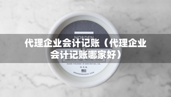 代理企業(yè)會(huì)計(jì)記賬（代理企業(yè)會(huì)計(jì)記賬哪家好）
