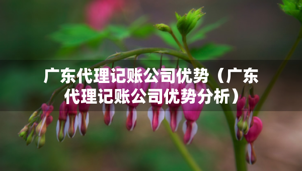 廣東代理記賬公司優(yōu)勢（廣東代理記賬公司優(yōu)勢分析）