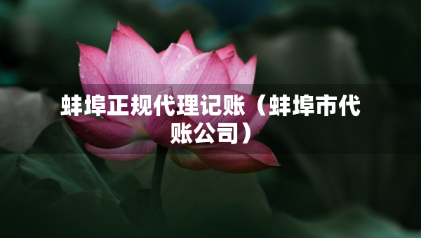 蚌埠正規(guī)代理記賬（蚌埠市代賬公司）
