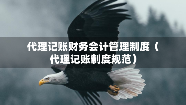 代理記賬財(cái)務(wù)會計(jì)管理制度（代理記賬制度規(guī)范）