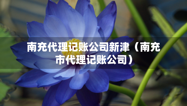 南充代理記賬公司新津（南充市代理記賬公司）