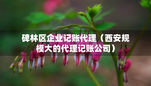 碑林區(qū)企業(yè)記賬代理（西安規(guī)模大的代理記賬公司）