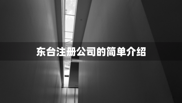 東臺注冊公司的簡單介紹