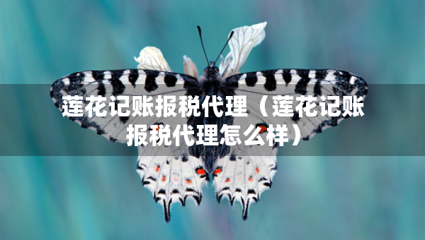 蓮花記賬報(bào)稅代理（蓮花記賬報(bào)稅代理怎么樣）
