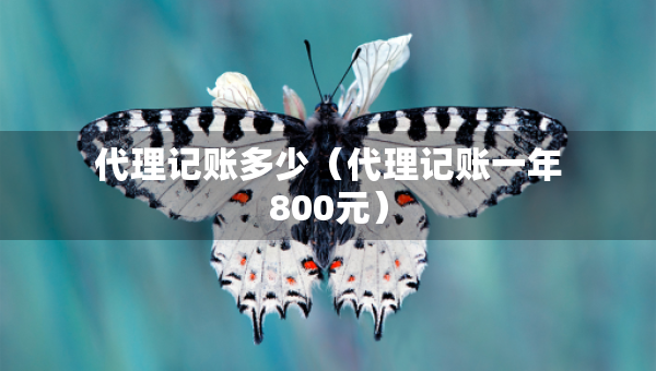 代理記賬多少（代理記賬一年800元）