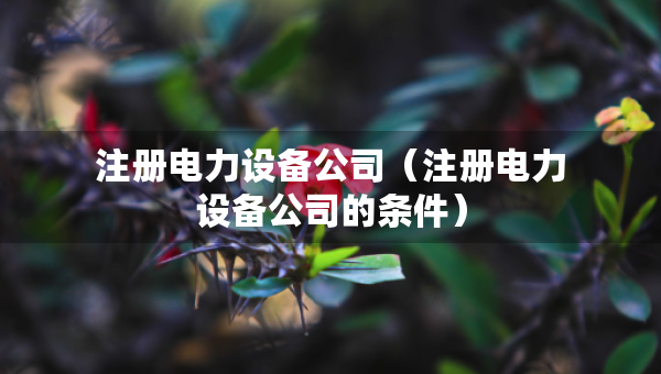 注冊(cè)電力設(shè)備公司（注冊(cè)電力設(shè)備公司的條件）