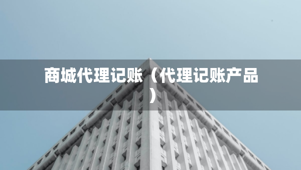 商城代理記賬（代理記賬產品）