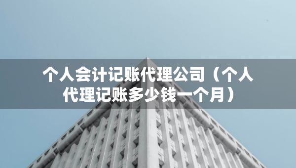 個人會計記賬代理公司（個人代理記賬多少錢一個月）